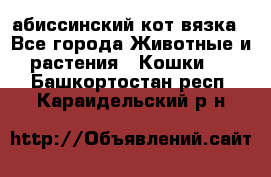 абиссинский кот вязка - Все города Животные и растения » Кошки   . Башкортостан респ.,Караидельский р-н